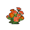 Файл:Иконка мака1.png