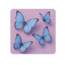 Файл:Предмет “Синие бабочки” иконка.png