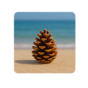 Файл:Иконка шишка.png