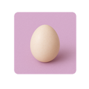 Файл:Утиное яйцо иконка.png