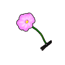 Файл:Цветок-тиран иконка.png