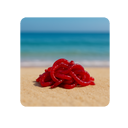 Файл:Мотыль иконка.png