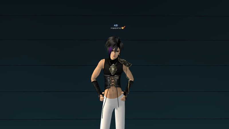 Файл:Кожаный нагрудник.jpg