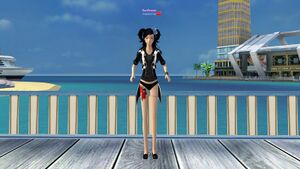 Пьяный разгул (ж) (черн.).jpg