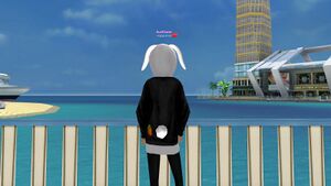 Зайка лайка чер сзади.jpg