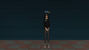 Кеды Спрингфилд.jpg