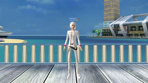 Костюм Арменто (муж.) бел.jpg