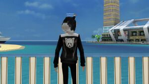 Панда черн сзади.jpg