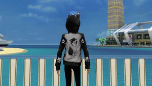 Корги черн сзади.jpg