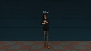 Сапоги Ганслингер.jpg