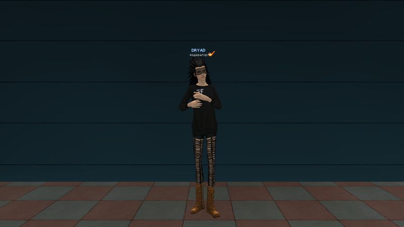 Файл:Сапоги Ганслингер.jpg