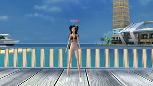 Костюм Война в сердце (жен.) низ.jpg