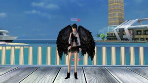 Крылья черн жен роскоши.jpg
