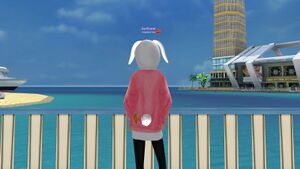 Зайка лайка роз сзади.jpg