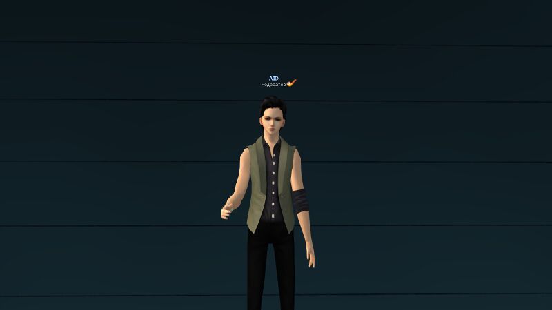 Файл:1Серый жилет и черная рубашка.jpg