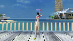 Подарок с костюмом Сидзука.jpg