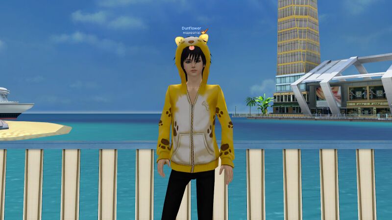 Файл:Корги желт.jpg