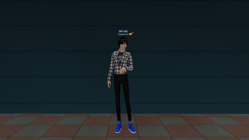 Файл:Сине-белые ботинки Байон.jpg