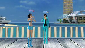 Валлеруа син.jpg