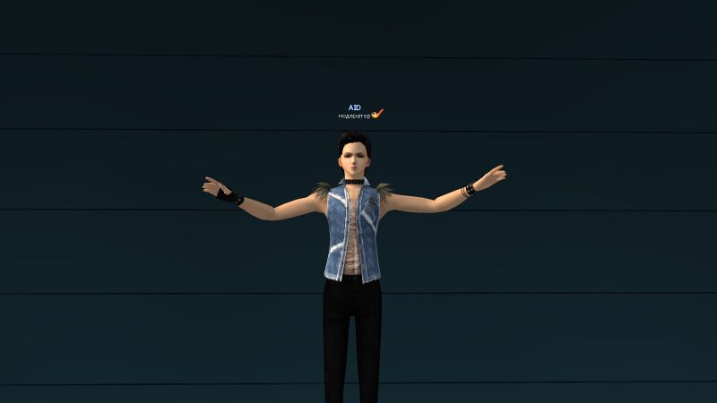 Файл:2Джинсовый жилет Алькасар.jpg