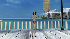 Наряд “Цветок Востока” (жен.) низ.jpg