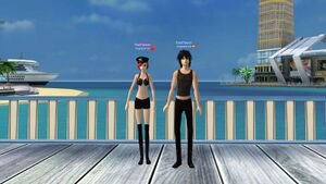 Бельмонт черн низ.jpg