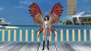 Подарок Крылья вольной птицы.jpg