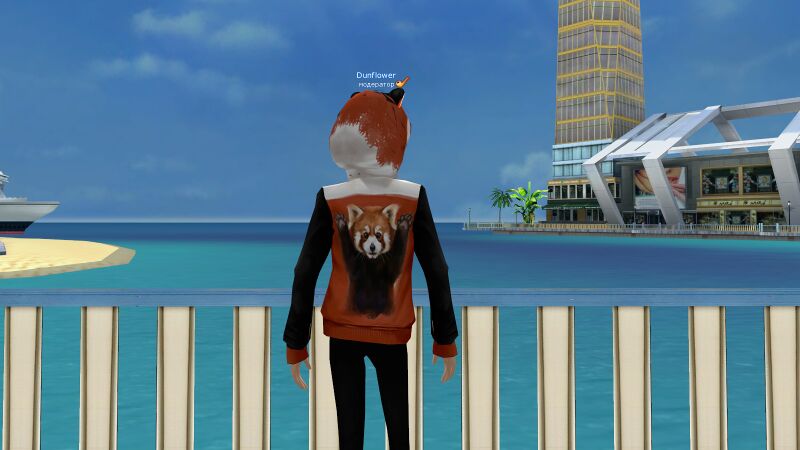 Файл:Панда черно-оранж сзади.jpg