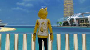 Корги желт сзади.jpg