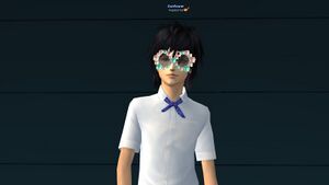 Очки цветочки.jpg