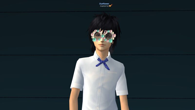 Файл:Очки цветочки.jpg