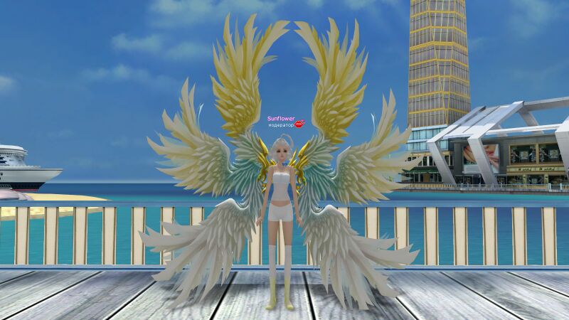 Файл:Внеш вид крыл солн зол.jpg