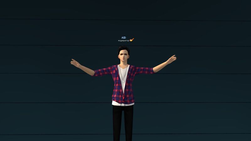 Файл:2Красно-синяя клетчатая толстовка.jpg