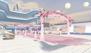 Лайнер локация свадьба.jpg