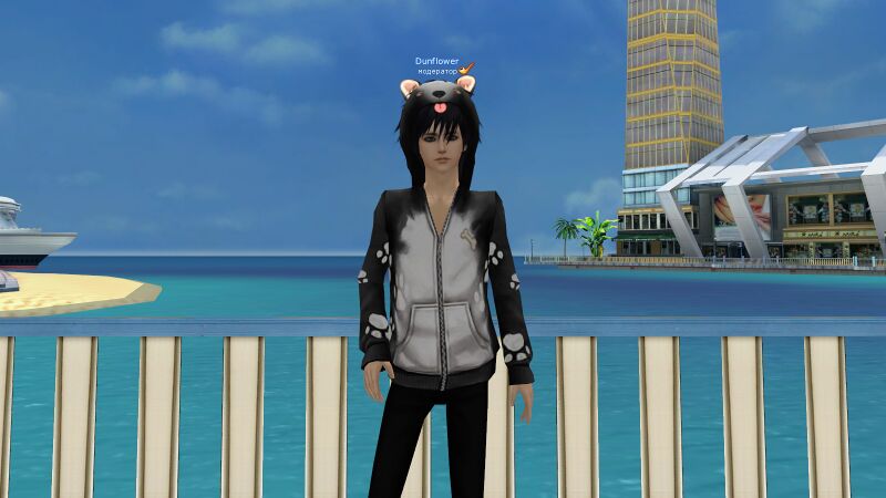 Файл:Корги черн.jpg