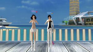 Валлеруа бел.jpg