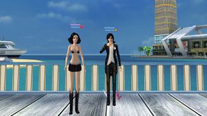 Валлеруа черн.jpg