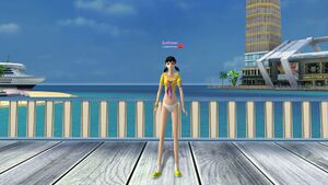 Подарок с костюмом Сидзука низ.jpg