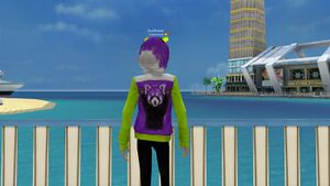 Панда зел-фиол сзади.jpg