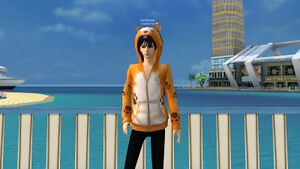 Корги оранж.jpg