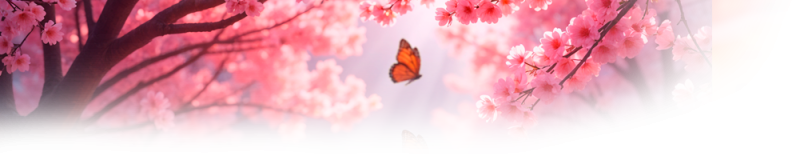 Файл:Shapka oformlenie 2 (2).png