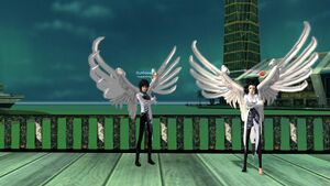 Серые сорочьи крылья.jpg