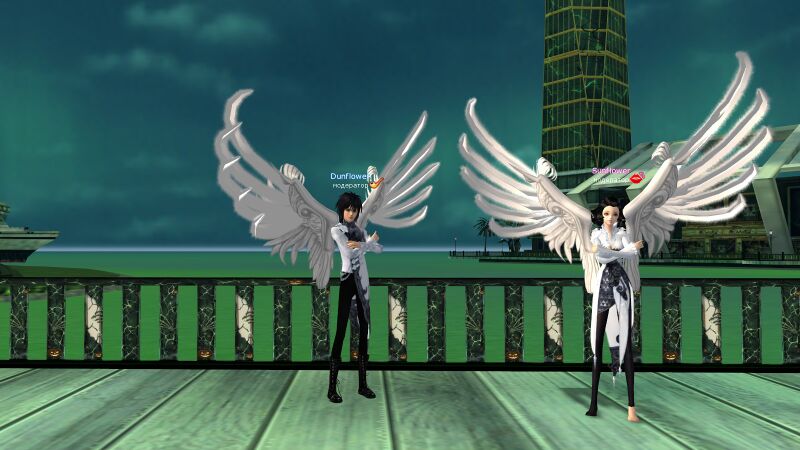 Файл:Серые сорочьи крылья.jpg