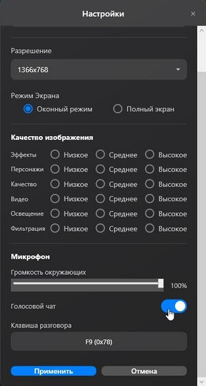 Раздел голос.чат.jpg