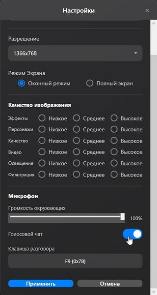 Файл:Раздел голос.чат.jpg