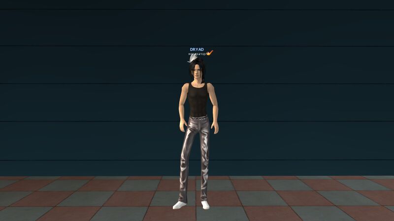 Файл:Блестящие серебряные брюки.jpg