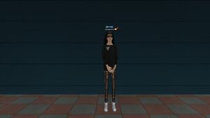 Кеды Ньюпорт.jpg