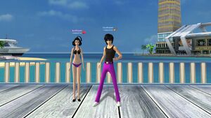 Посланник ночи фиол низ.jpg