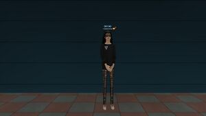 Ботинки Брукер.jpg