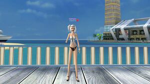 Истинная леди черн низ.jpg